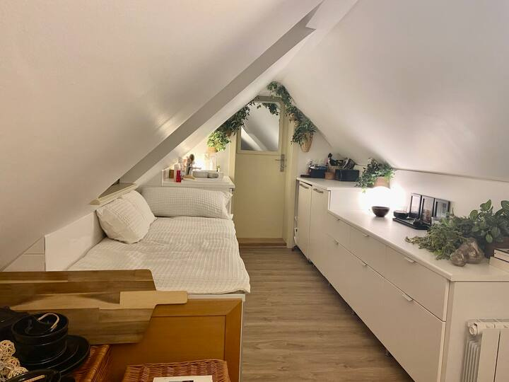 Appartement - Strasbourg