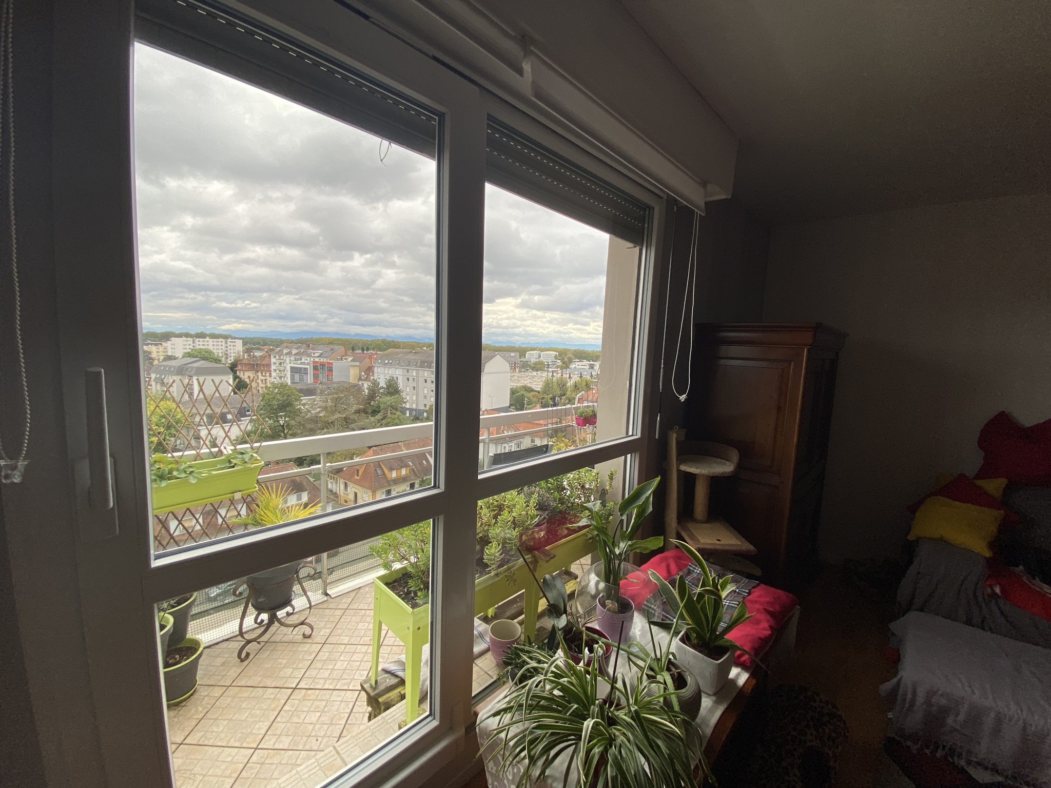 Appartement - Strasbourg